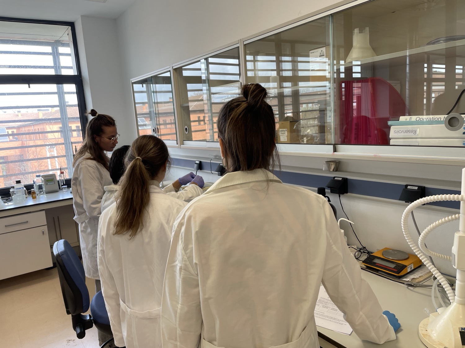 Estudios de identidad genética