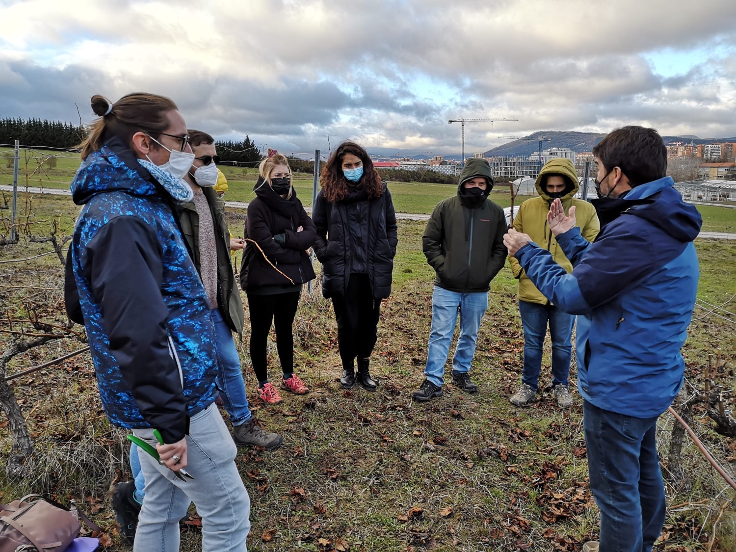 Visitas y trabajo de campo en viñedo
